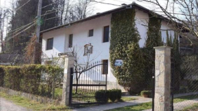 Вила Керенски, Ribaritsa